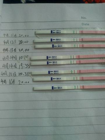 journal_insert_pic_720254803