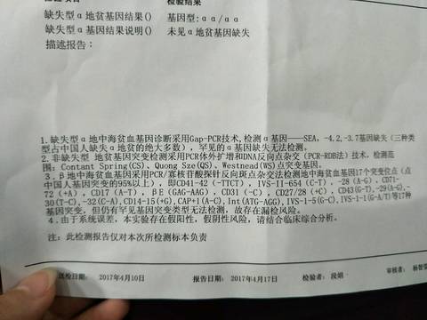 journal_insert_pic_721562423