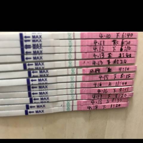 journal_insert_pic_721520586