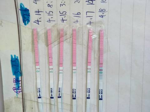 journal_insert_pic_720995741