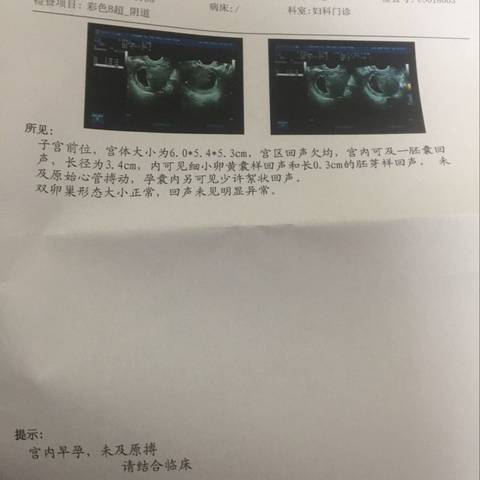 journal_insert_pic_722094290