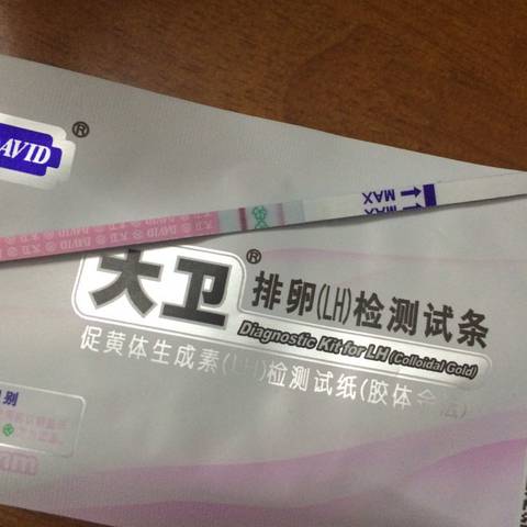 journal_insert_pic_722750358