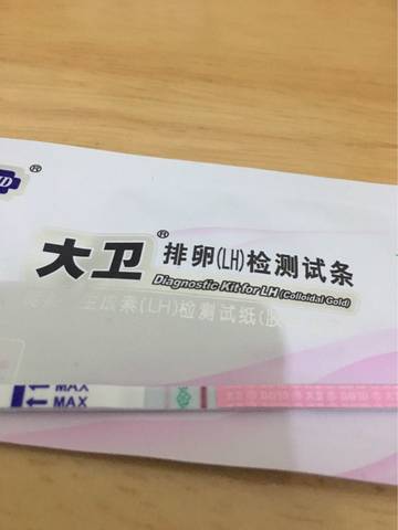 journal_insert_pic_722849762