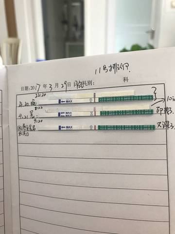 journal_insert_pic_723334145