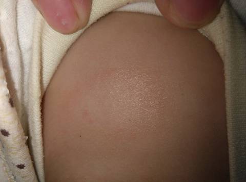 journal_insert_pic_723791940