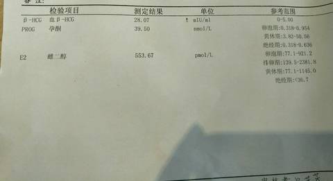 journal_insert_pic_723528692