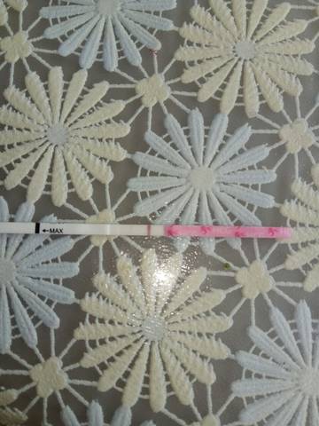 journal_insert_pic_723273007