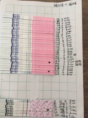 journal_insert_pic_723295929