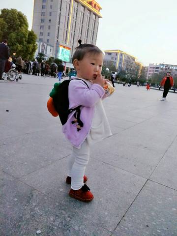 journal_insert_pic_724035126