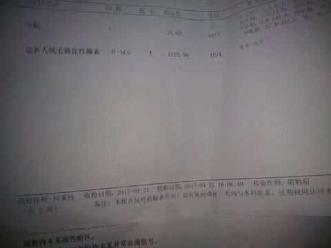 journal_insert_pic_724345827