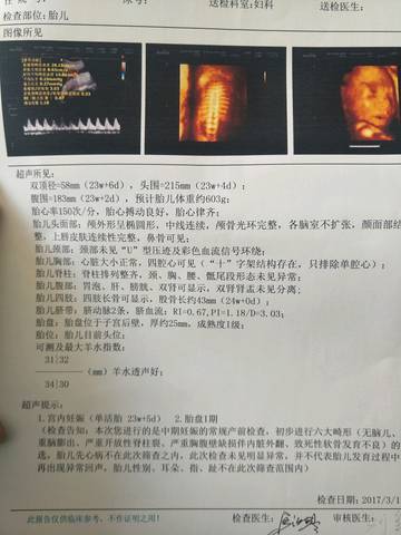 journal_insert_pic_724943041