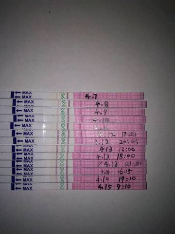 journal_insert_pic_724879355