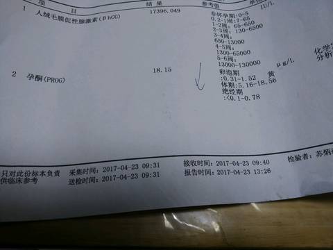 journal_insert_pic_725131423