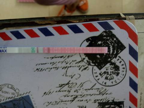 journal_insert_pic_724955345