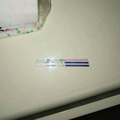journal_insert_pic_725347865