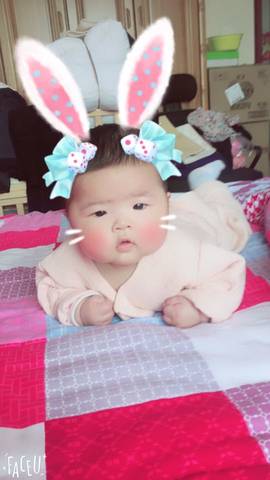 journal_insert_pic_725378017