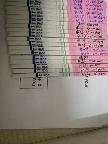 journal_insert_pic_725423025