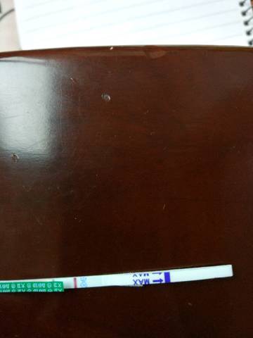 journal_insert_pic_725920083