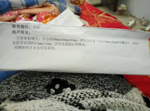 journal_insert_pic_726064275