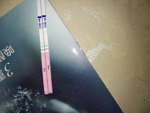journal_insert_pic_726208461