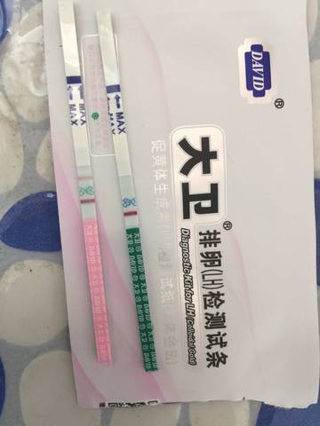 journal_insert_pic_726861680