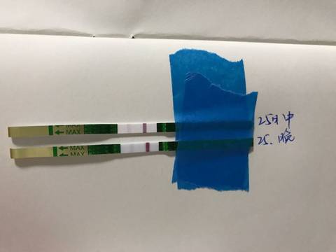 journal_insert_pic_726840381