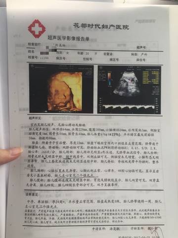 journal_insert_pic_726618293