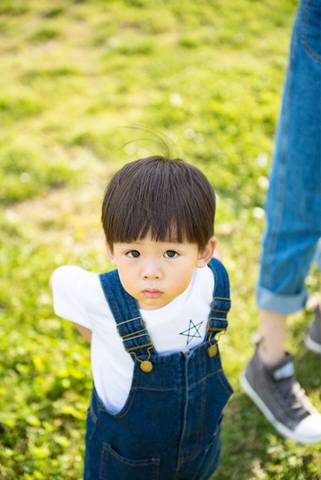 journal_insert_pic_726290840