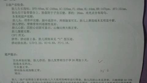 journal_insert_pic_727480632