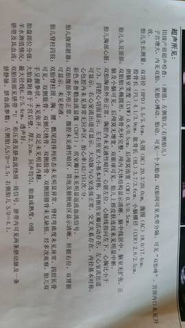 journal_insert_pic_727184252