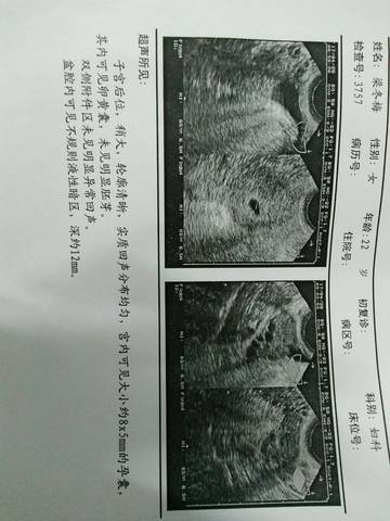 journal_insert_pic_727601438