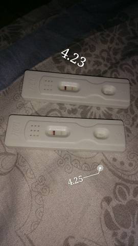 journal_insert_pic_727062884