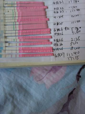 journal_insert_pic_728270640