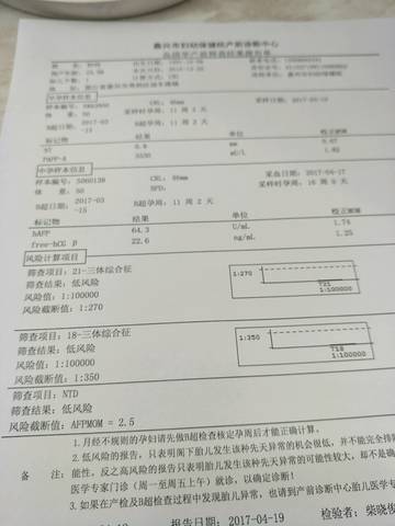 journal_insert_pic_728058810