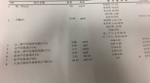 journal_insert_pic_728094799