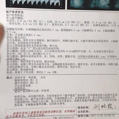 journal_insert_pic_727934964