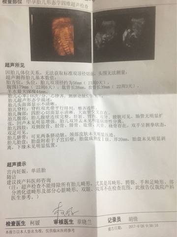 journal_insert_pic_729171425