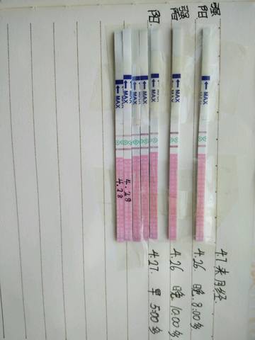 journal_insert_pic_729075735
