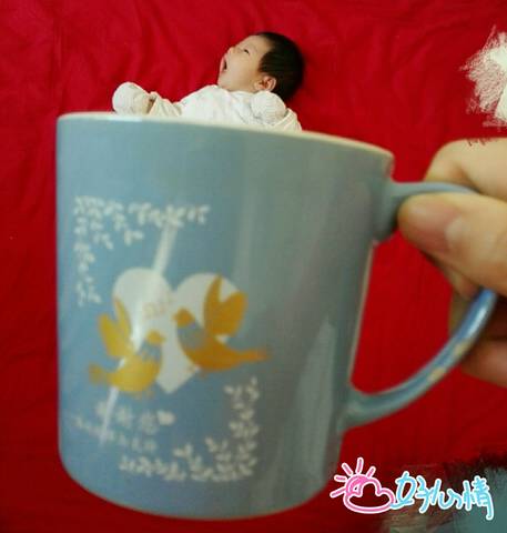 journal_insert_pic_729099762