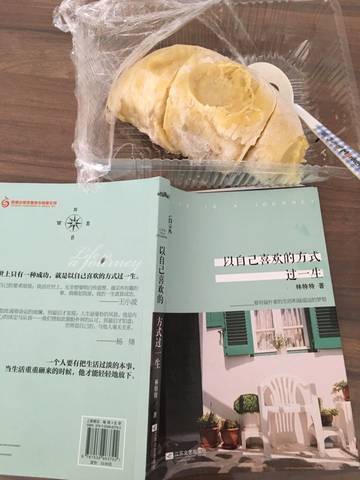 journal_insert_pic_728798173