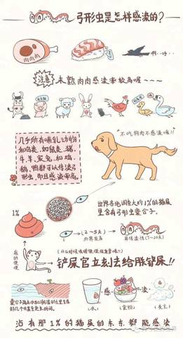 journal_insert_pic_729530739