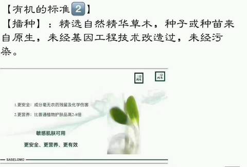journal_insert_pic_729734716