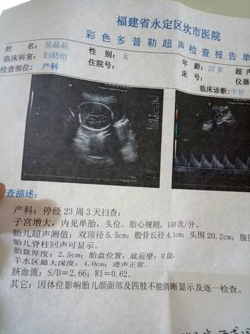 journal_insert_pic_729703836