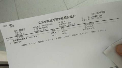 journal_insert_pic_730438655