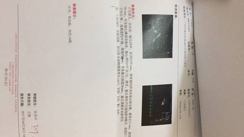 journal_insert_pic_730503876
