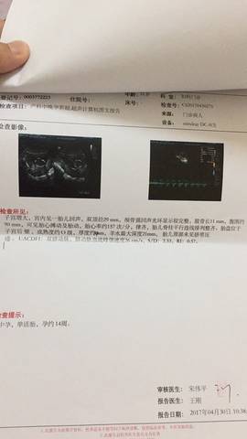 journal_insert_pic_730503869
