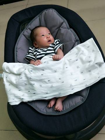 journal_insert_pic_731252551