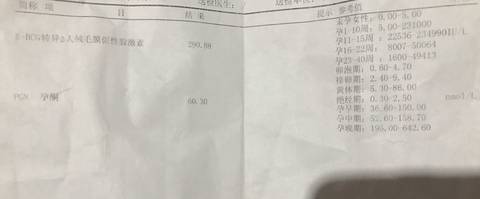 journal_insert_pic_731629322