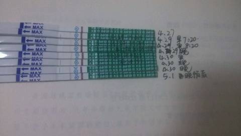 journal_insert_pic_731441811