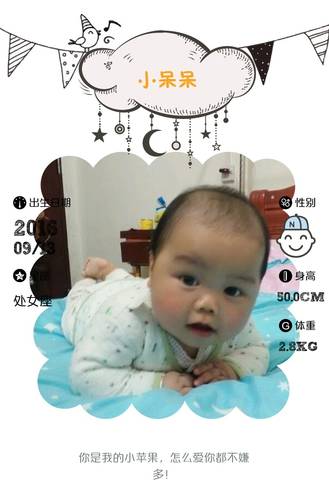 journal_insert_pic_732107788